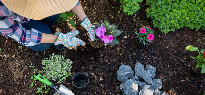 themenwelt themeneinstieg garten torffrei 1600x740